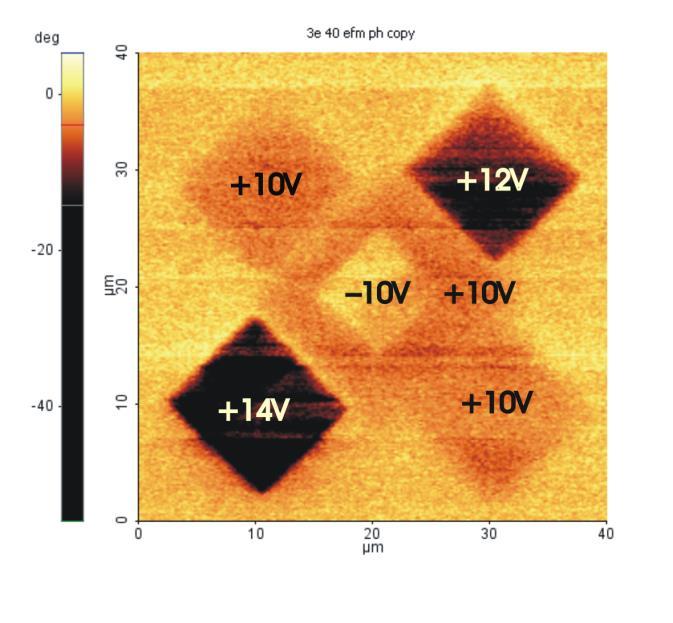 (PFM) folosind un echipament de tip AFM( XE-100, Park Systems).