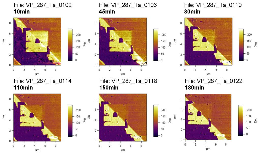 Evolutia polarizarii in timp in cazul unui contact de Ta.