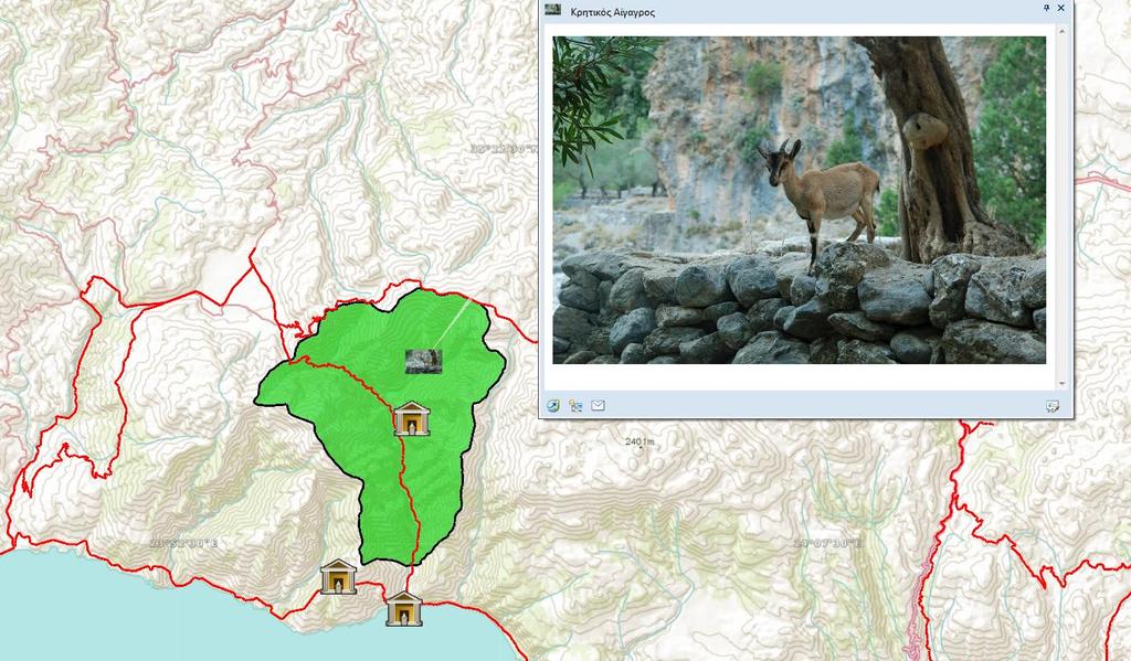 Εκνικόσ