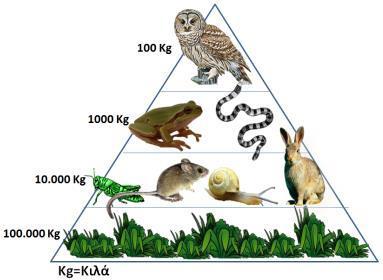 Γ) Να συμπληρώσετε τα κενά. ( 4Χ0.5μ= 2.0μ)μ... Οι μύες του οργανισμού μας ακόμα και σε κατάσταση ανάπαυσης, βρίσκονται σε μια διαρκή μικρή ένταση... Αυτή η κατάσταση ονομάζεται.