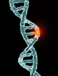 Τι προκαλεί τον καρκίνο; Ο καρκίνος προκύπτει από την μετάλλαξη φυσιολογικών γονιδίων Απενεργοποιούνται Ογκοκατασταλτικά γονίδια Κανονική λειτουργία: επιδιόρθωση του DNA, έλεγχος του κυτταρικού