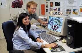 University,