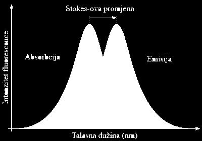Razlika u energiji odnosno talasnoj dužini (predstavljena kao hν EX - hν EM ) se naziva Stokes-ov