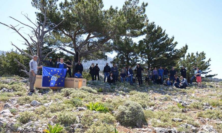 Δράσεις Δικηγορικού Συλλόγου Χανίων Συμμετοχή στη γιορτή