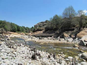 Στη συνέχεια παρουσιάζονται κάποια παραδείγματα.