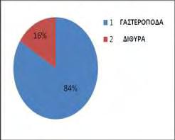 38 Στα Σχήματα 2, 4 και 6 δίνεται η σχηματική απεικόνιση της εκατοστιαίας κατανομής των ειδών γαστεροπόδων και διθύρων στους σταθμούς S1, S2 και S3 στις δύο εποχές δειγματοληψίας.