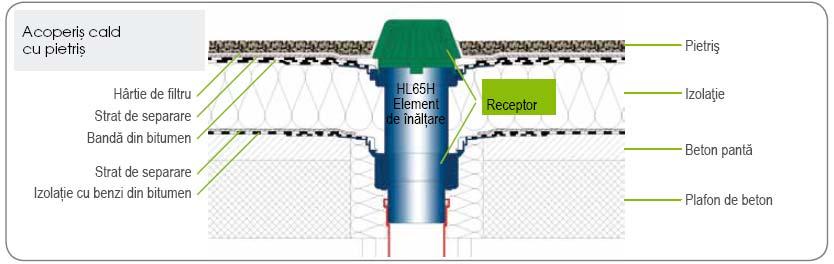 receptorilor