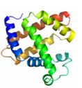 podvojevanje DNA prepisovanje RNA prevajanje proteini Slika 4.32: Prenos informacije od DNA do proteinov 4.4.4 Gen Določeni deli molekule DNA se prepišejo v molekule RNA.