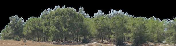 יער, גיליון מס' 18, דצמבר 2017, כסלו תשע"ח הוועדה המחוזית לתכנון ולבנייה מחוז הדרום. )2016(. ועדת משנה להתנגדויות מסמך החלטות ישיבה מספר 2016016. נדלה בתאריך 14.12.2016 מתוך: http://mavat.moin.gov.