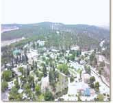 environment that is affected by the forest, (4) a built environment that is not affected by the forest.