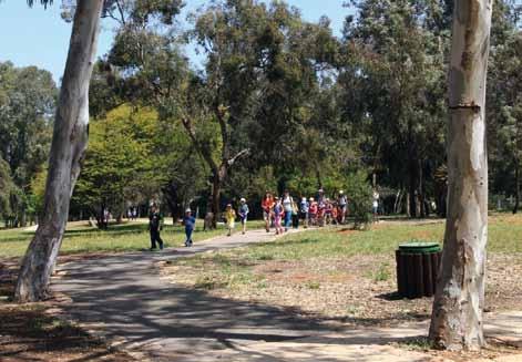 חדשות מהשטח מה חדש הגן הבוטני באילנות אילון כלב אגף הייעור, קק"ל גן ההדגמה לעצים )הארבורטום(, הגן הבוטני אילנות, נמצא כקילומטר צפונית לצומת קדימה-הדסים, הוקם בשנת 1950 ומשתרע על שטח של כ- 130 דונם