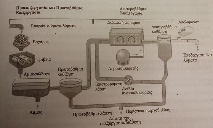 μεσαίου μεγέθους