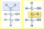 polihidroxicetonas y sus