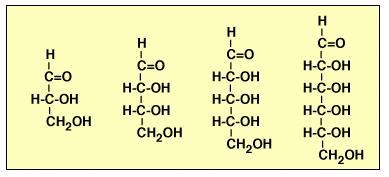 los glúcidos más sencillos (CH