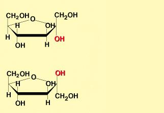 glucopiranosa β- D