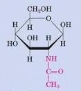 de azúcares Glucósidos Ácido fosfórico + 3 metanol + 3