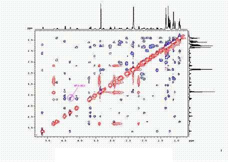 spektar, 300 Mz 3D MQC-TOCSY NMR spektar