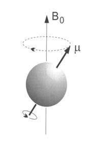 Dogovorom je prihvaćeno da je smjer primjenjenog magnetnog polja smjer osi z u Cartesijevom koordinatnom sustavu z Frekvencija precesije ili Larmorova