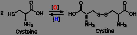 Site-Directed spektroskopija Ispitivani protein: protein: M13 coat protein 50 amino kiselinskih ostataka Transmembranski