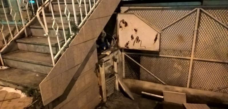 ΠΡΟΒΛΗΜΑΤΑ Με την εμφάνιση του παγετού πάγωσαν μέσα στις πρώτες δύοτρείς ημέρες (ανάλογα με την περιοχή, το σημείο
