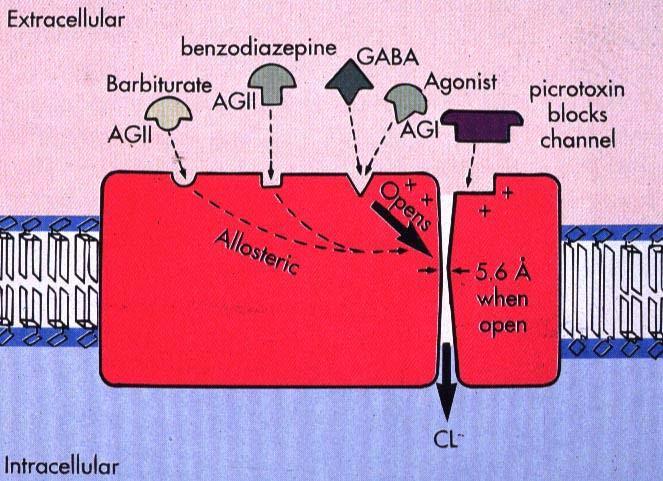 GABA A