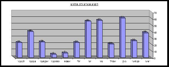 דו"ח רט"ג