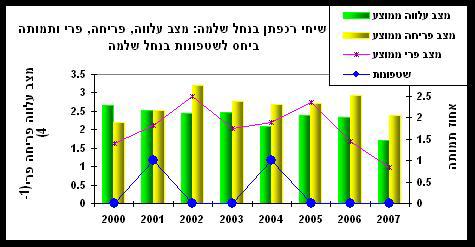 דו"ח רט"ג 2007 ב.