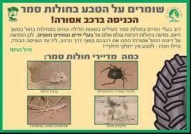 "סיפורו של מושון