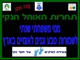 סוכות) דפי הסברה,