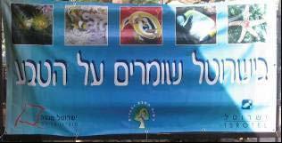 לתושבי אילת