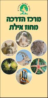 2007 דו"ח