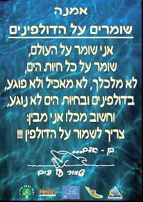 הדרכה יום