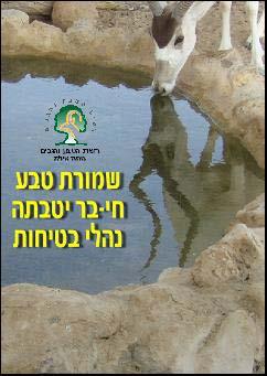 קופון