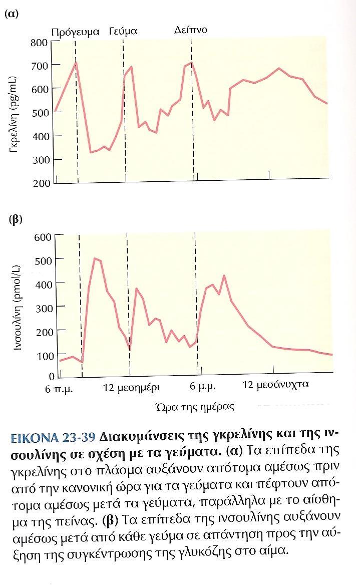 ΠΑΧΥΣΑΡΚΙΑ