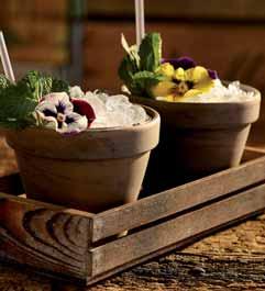 ΠΟΤΗΡΙΑ COCKTAIL Mules 28.00174 κούπα χάλκινη, 45 cl 9 cm 9 cm συσκ.: 12 14,79 28.00217 01256 κούπα χάλκινη, διπλού τοιχώματος 40 cl 13 cm 12 cm συσκ.: 1/36 18,97 28.