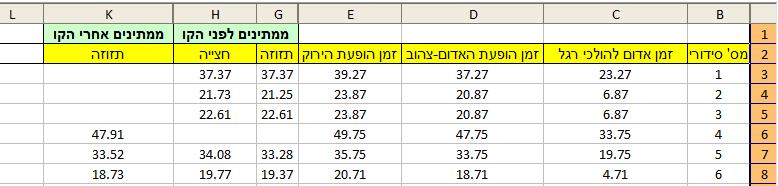 אילת דוגמה לרשומות בקובץ הנתונים Excel