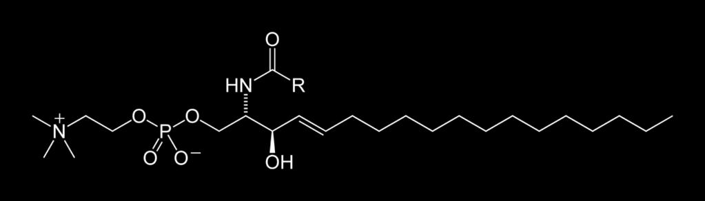 Významné sfingolipidy: ceramid, sfingomyelín,