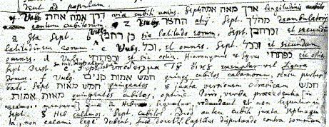 לשבת. עולם חוקי הבורא היה לו מקום מפלט.
