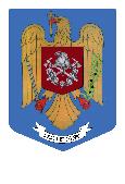 MINISTERUL AFACERILOR INTERNE DEPARTAMENTUL PENTRU SITUAŢII DE URGENŢĂ INSPECTORATUL GENERAL PENTRU SITUAŢII DE URGENŢĂ Exemplar nr.1 Nr.