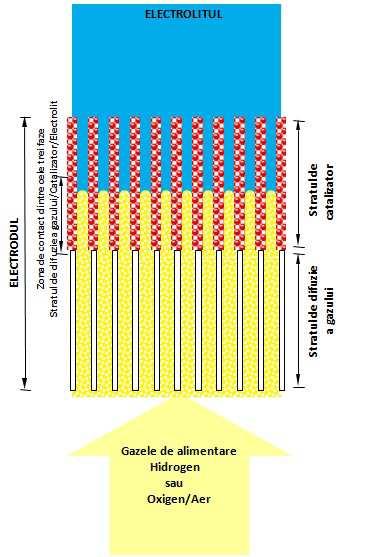 Fig. III.2.