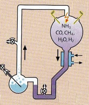 Redi) - abiogeneza -iz živega biogeneza Zemlja 4,6 milijard let CO2, NH3, CH3, N2, H2, H2O, CO O2 sprošča se ogromno energije plini razpadajo v radikale strele, UV, dež -> prajuha, ohlajevanje ->