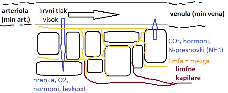 neprava kri smrt!