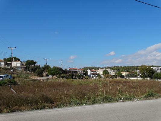 Φυσικό και Δομημένο Περιβάλλον Φυσικό: _αγροτικές καλλιέργειες: Καλύπτουν ένα μεγάλο μέρος του δήμου, κυρίως κεντρικά και δυτικά.