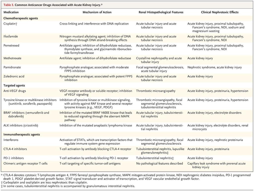 Common Anticancer Drugs Associated with Acute Kidney Injury.