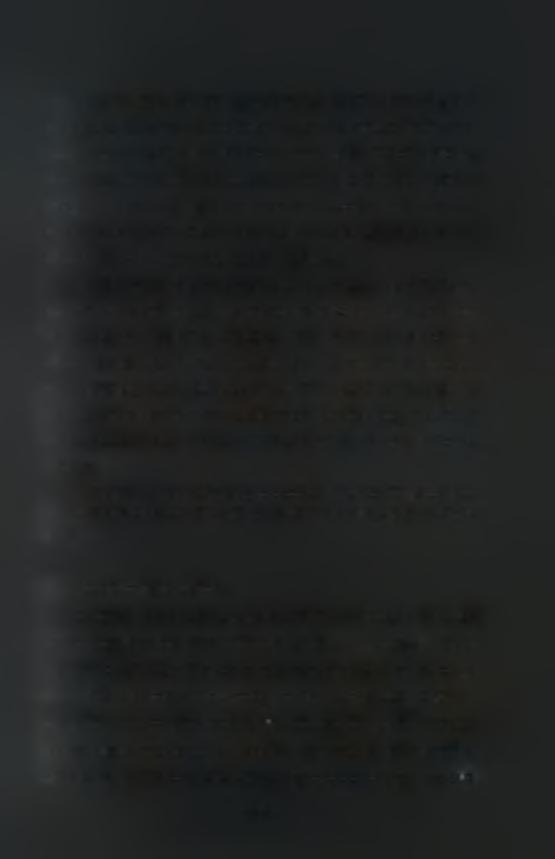 Ο βλαστός του Σόργου είναι καλάμι και μπορεί να φτάσει σε ύψος τα 3,5-6m. Κάθε στέλεχος αποτελείται από 7-10 κατακόρυφα μεσογονάτια διαστήματα.