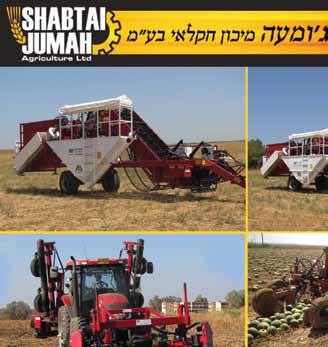 מבית הדברת כל מיני החלדונות, ספטוריה וקימחון בחיטה