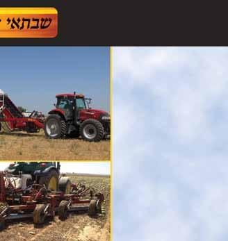 אקסטרה מורשה ויעיל ביותר להדברת חלדונות שונים, קימחון