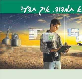 הנגיד )ברעים לא הגיע החלקה לקציר לגרעינים(.