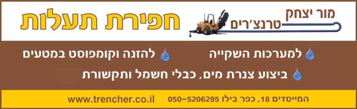 )yoke כפי שאפשר לראות בתמונות המצורפות, זה מנוע ארבע פעימות מקובל, אלא שהטלטל שלו אינו מפעיל את גל הארכובה ישירות, אלא באמצעות הזרוע המיוחדת.