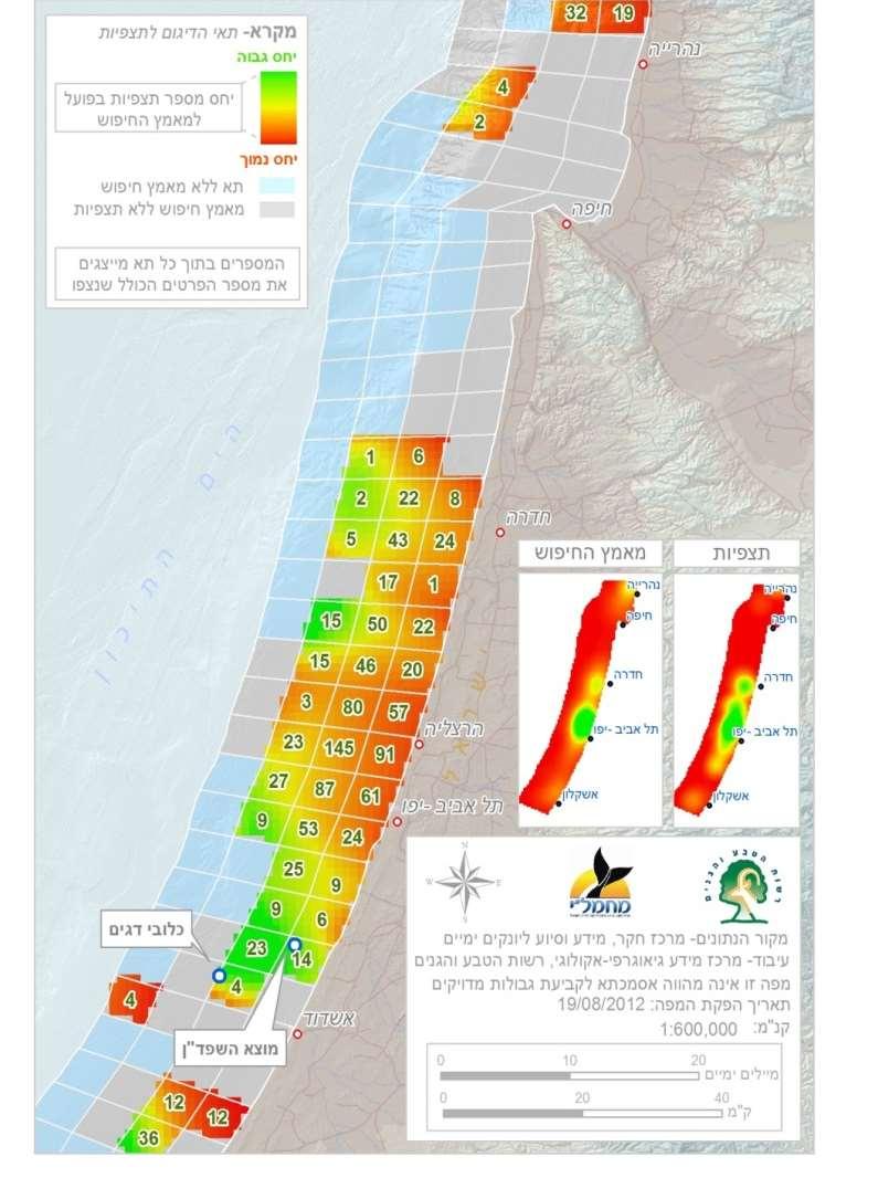 השנים האחרונות, עם תצפיות נשנות, בעיקר באביב ובקיץ, של להקות גדולות של 05-84 פרטים, עם גורים ויילודים, המרוכזות רובן ככולן בחלקו הדרומי של החוף )איור 2(.